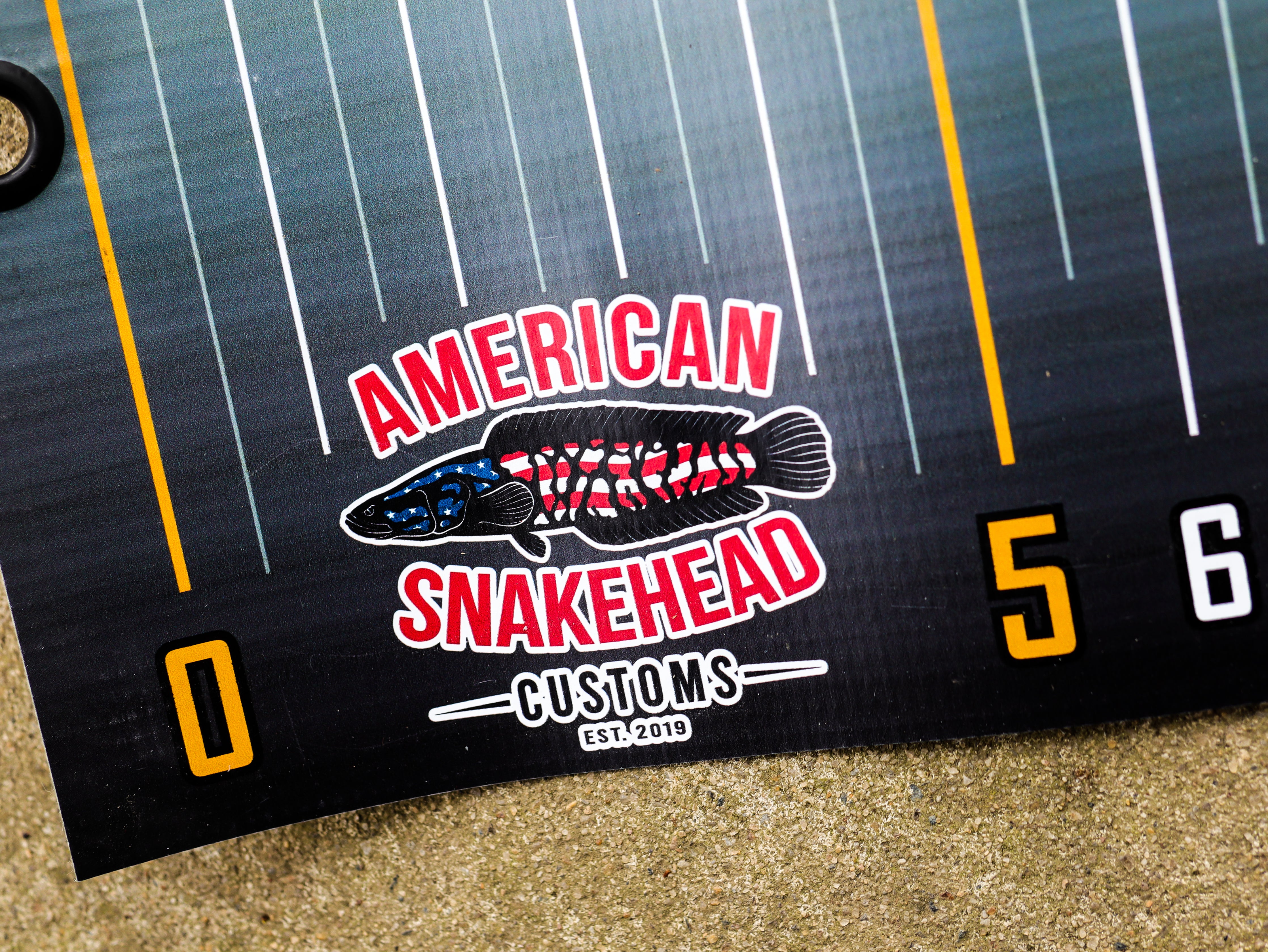 Dragon Ruler – American Snakehead Customs LLC