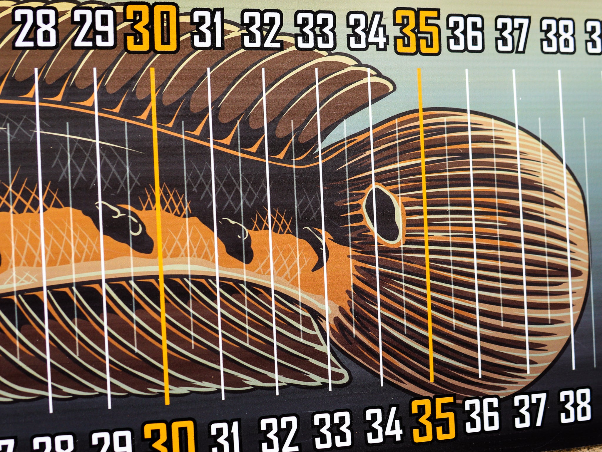 Dragon Ruler Mat Dragon Ruler – American Snakehead Customs LLC