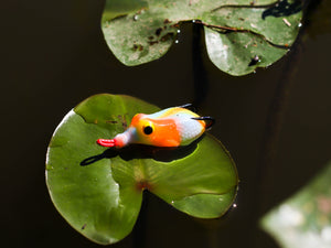 Frog King Mini